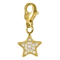 Preview: Charm Cosmopolitan Stern Edelstahl Gold