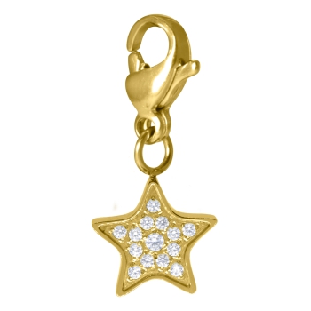 Charm Cosmopolitan Stern Edelstahl Gold